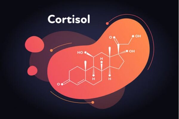 Cortisol Naokon