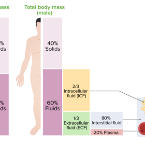 Body Fluids Naokon