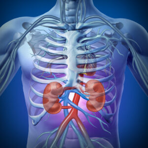 Naokon Creatinine